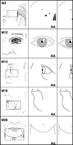 Tabular comparison of findings